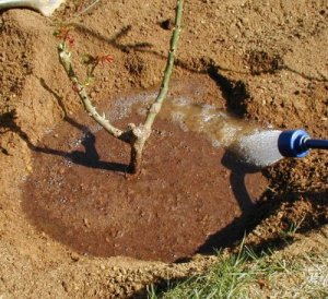 Hole with Cone