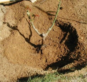 Hole with Cone